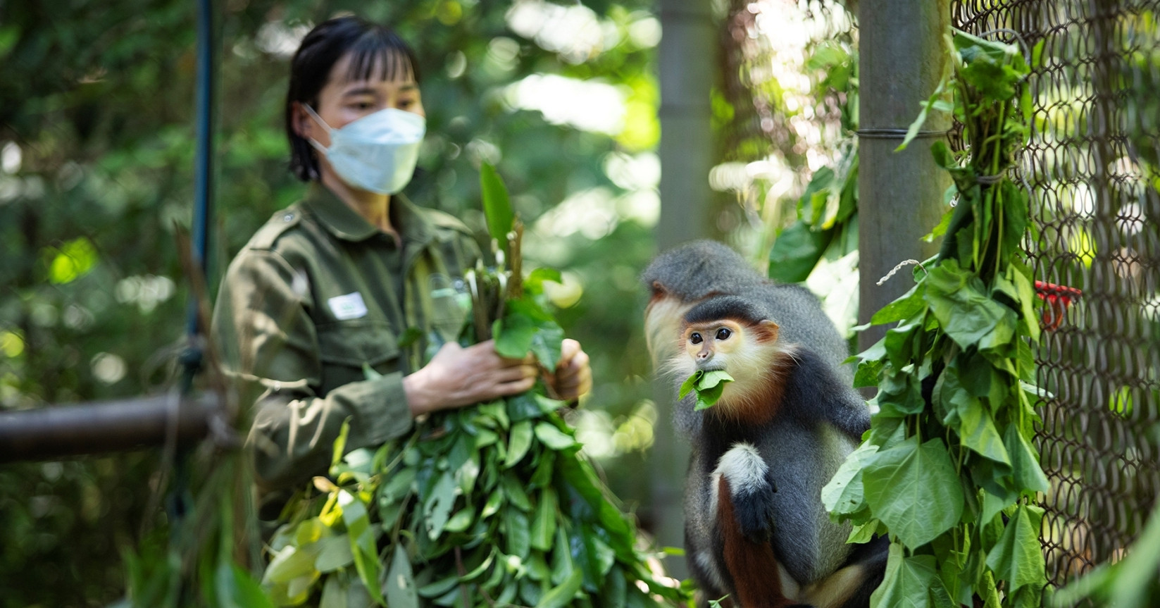 Endangered Primate & Turtle Centers